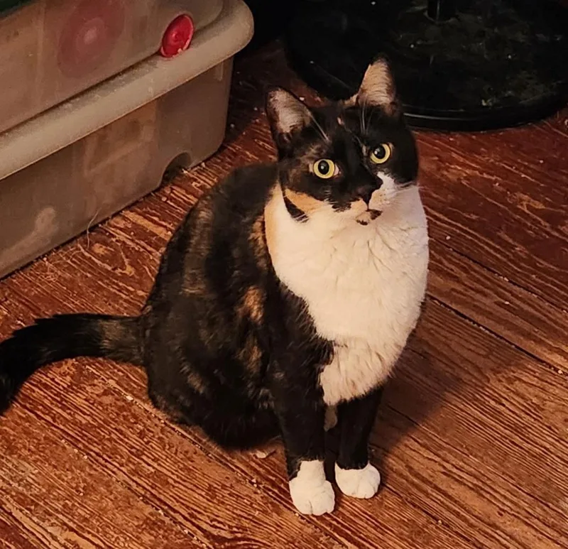 Esmae & Petula thumbnail 3