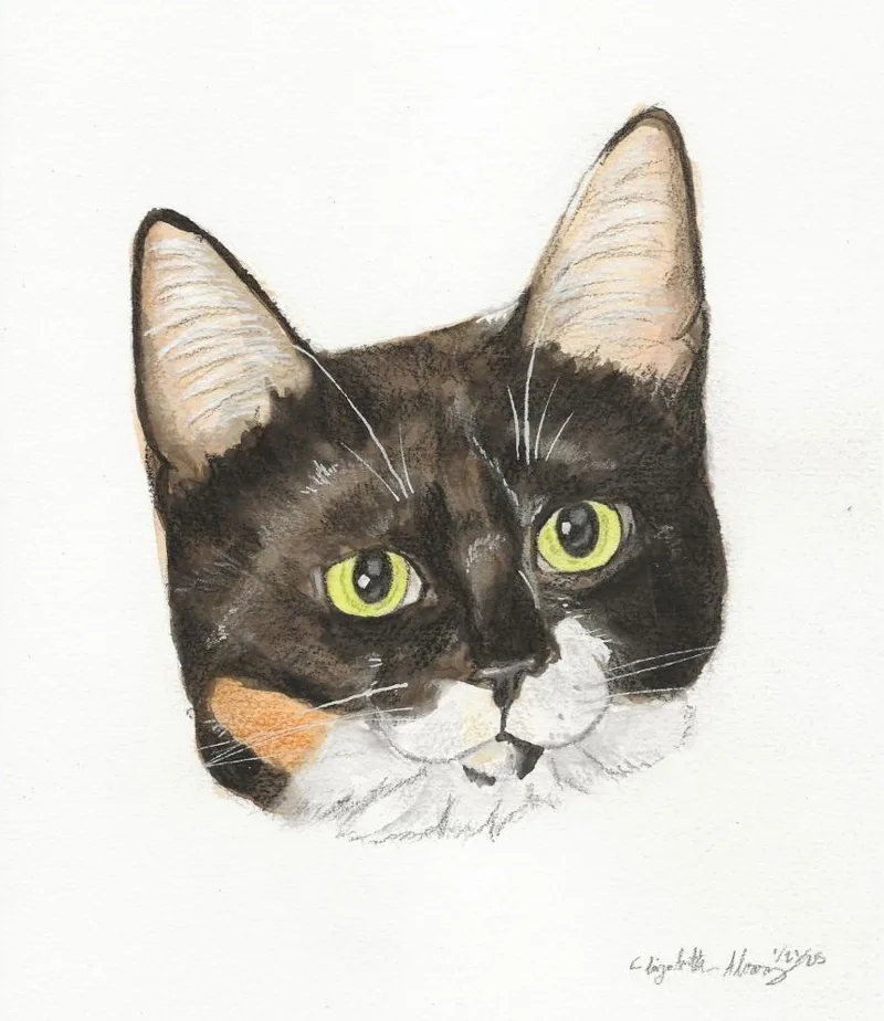 Esmae & Petula thumbnail 4