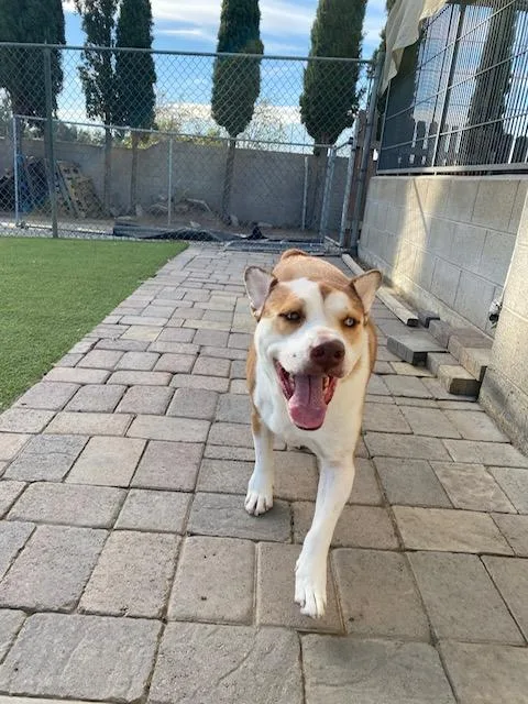 Olive & Pickles thumbnail 2