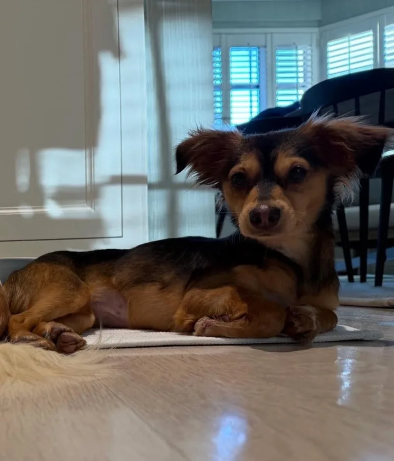 Paloma And Bianca thumbnail 3