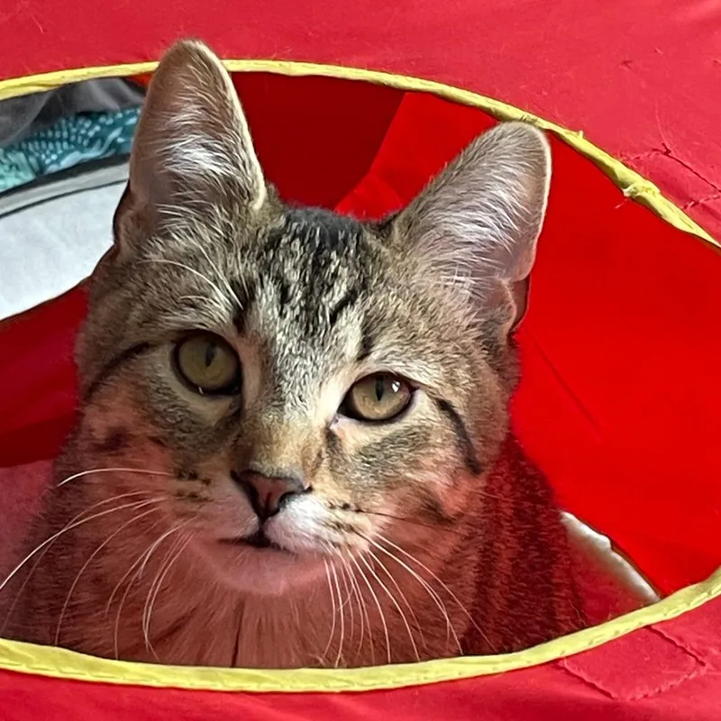 Bobby  Bonded To thumbnail 2