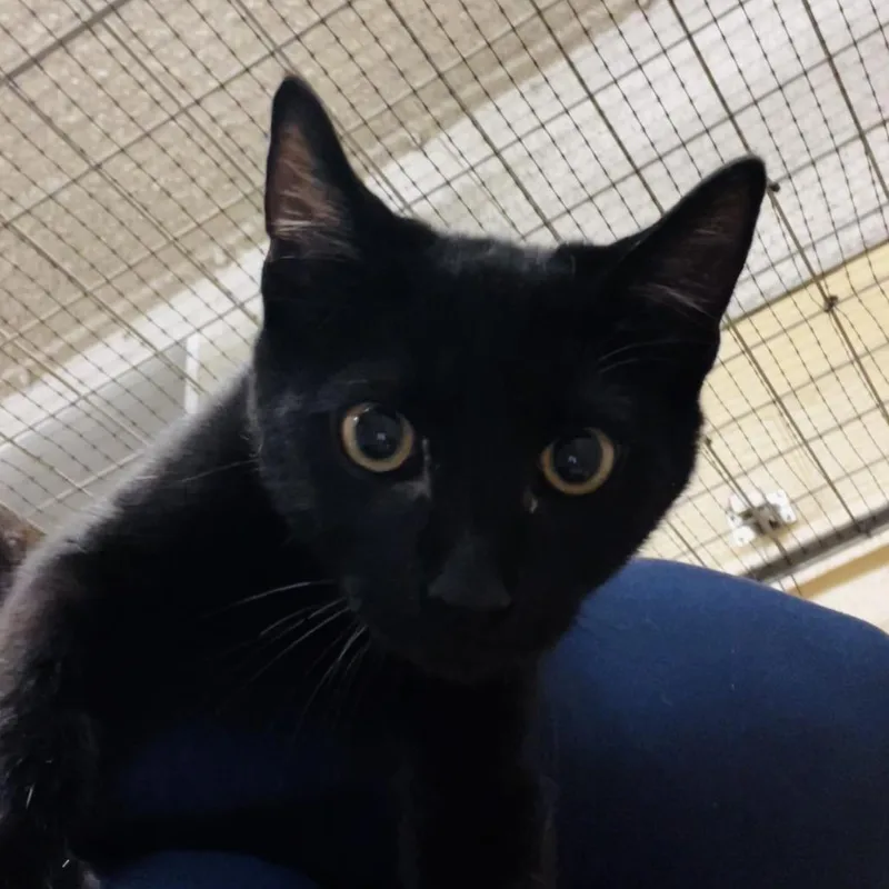 Passenger thumbnail 3