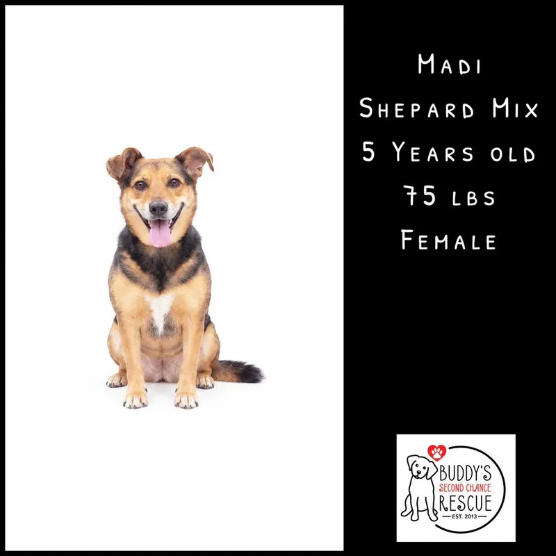 Madi thumbnail 2