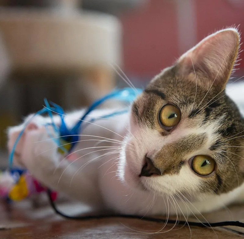 Jimmy Dugan thumbnail 3