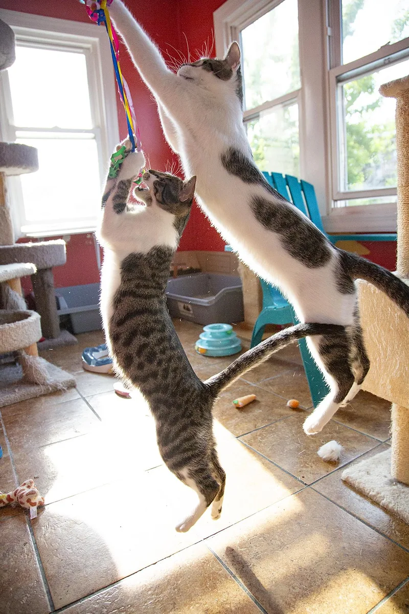 Jimmy Dugan thumbnail 6