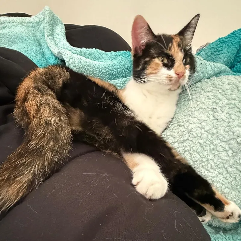 Kona And Nora thumbnail 2