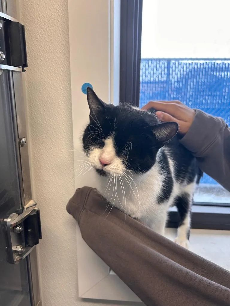 Identity Theft thumbnail 2