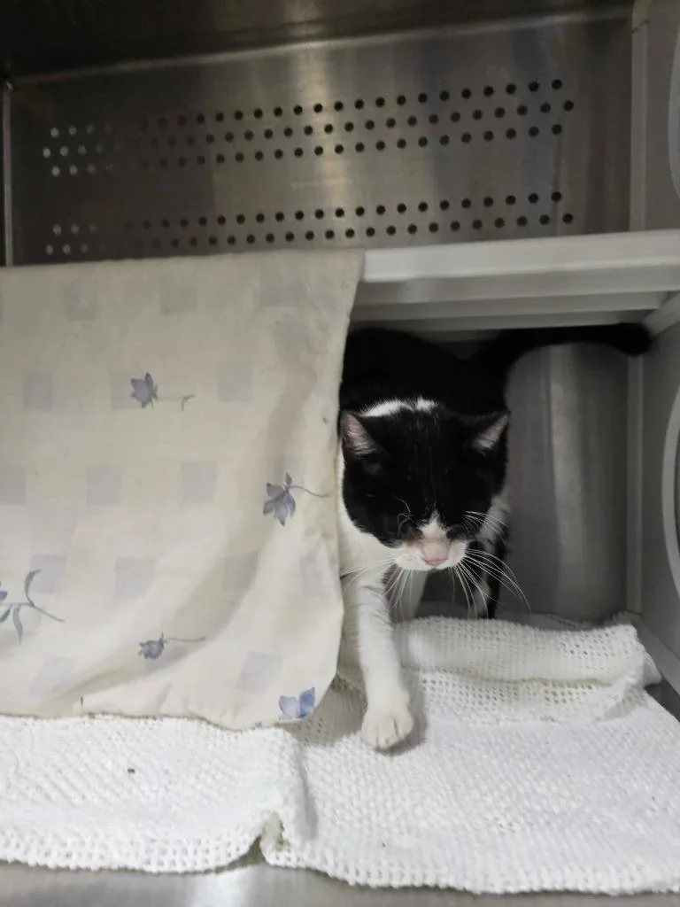 Identity Theft thumbnail 3