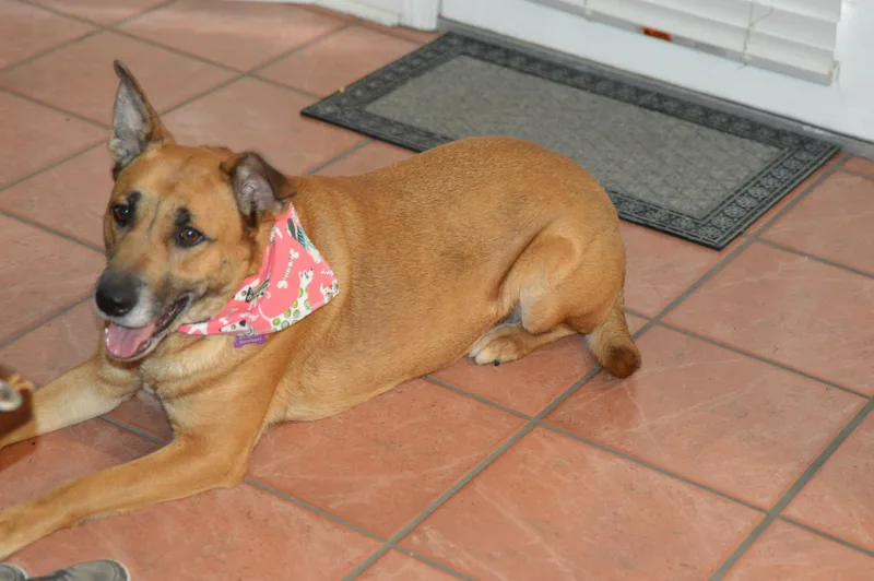 Moody Crate & Potty thumbnail 2