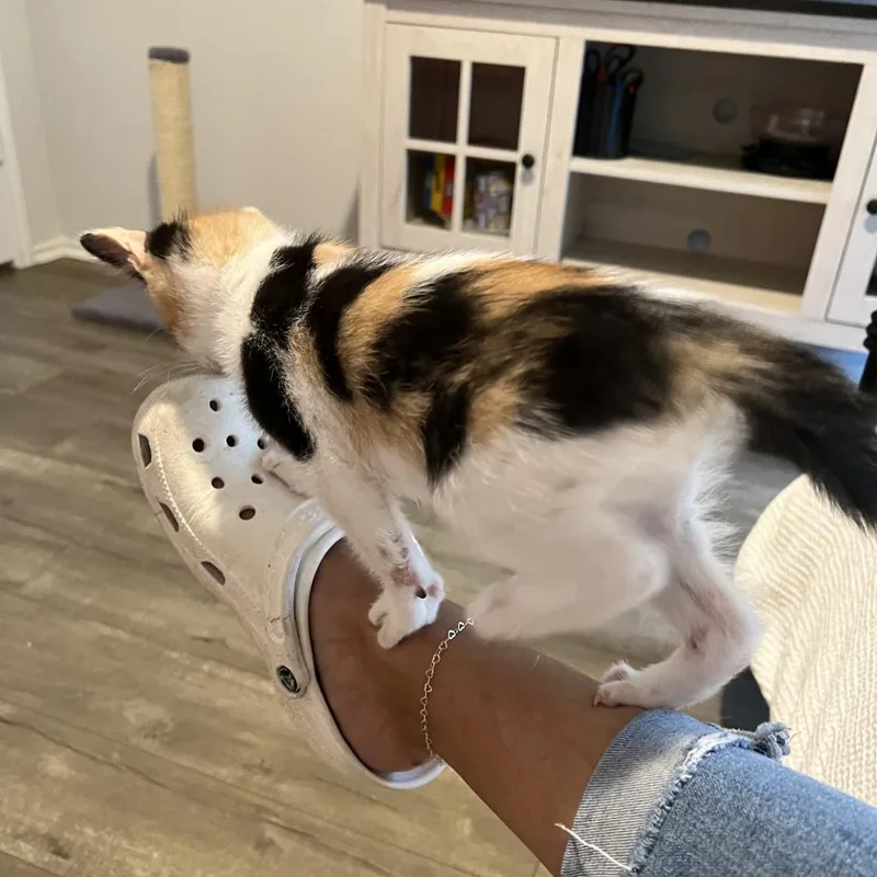 Lucy thumbnail 5
