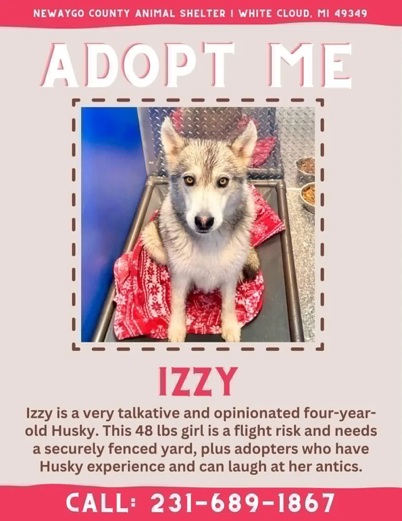 Izzy