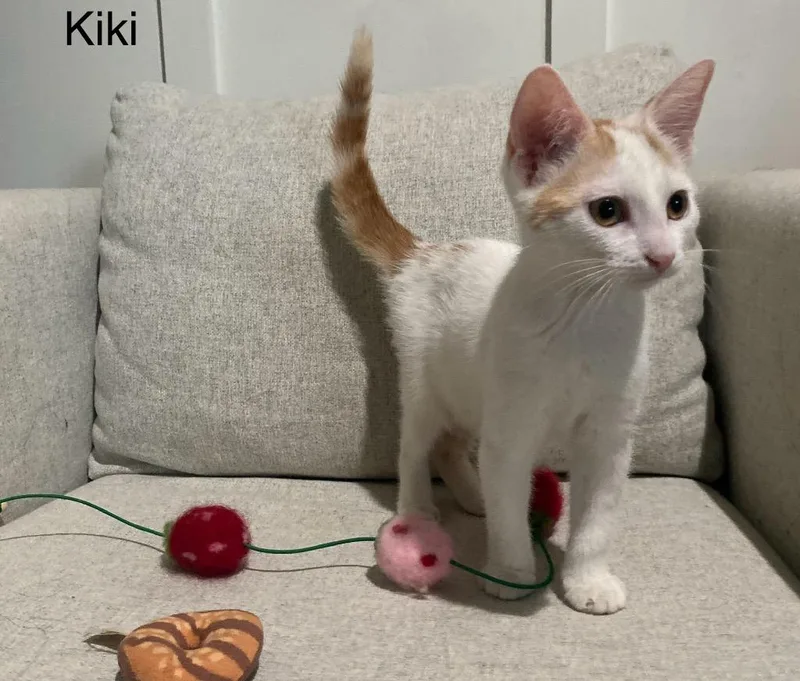 Kiki Girl thumbnail 2