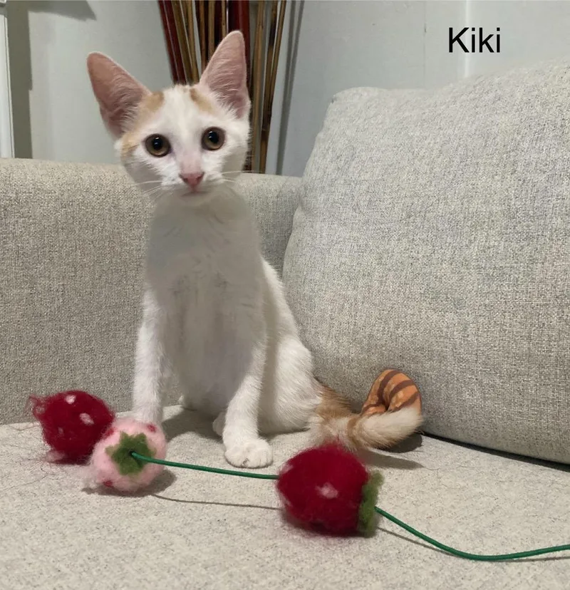 Kiki Girl thumbnail 3