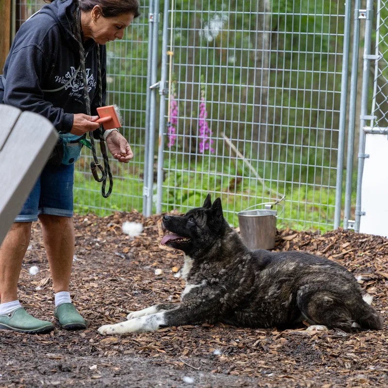 Stella Bella thumbnail 2