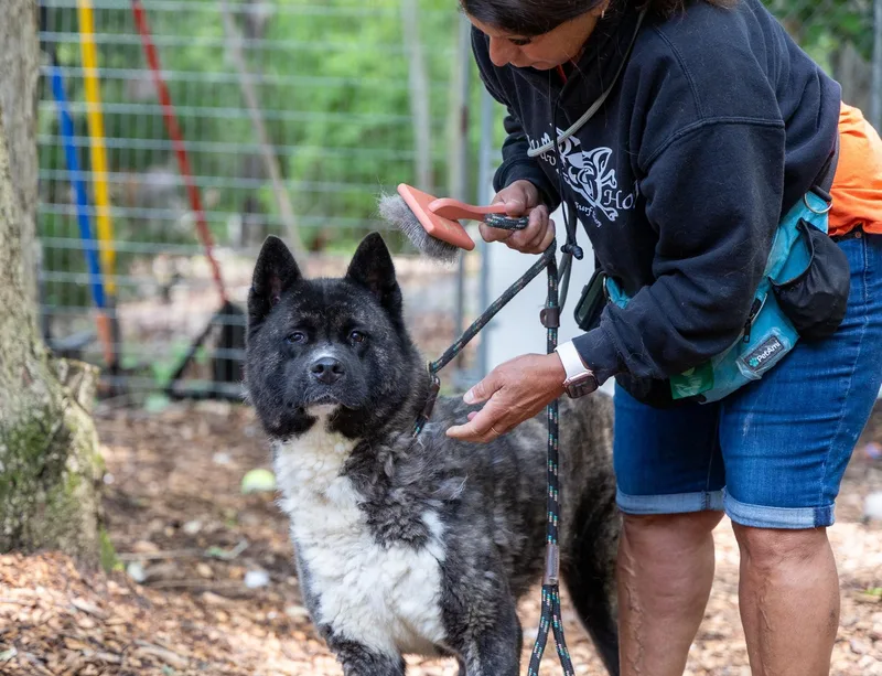 Stella Bella thumbnail 6