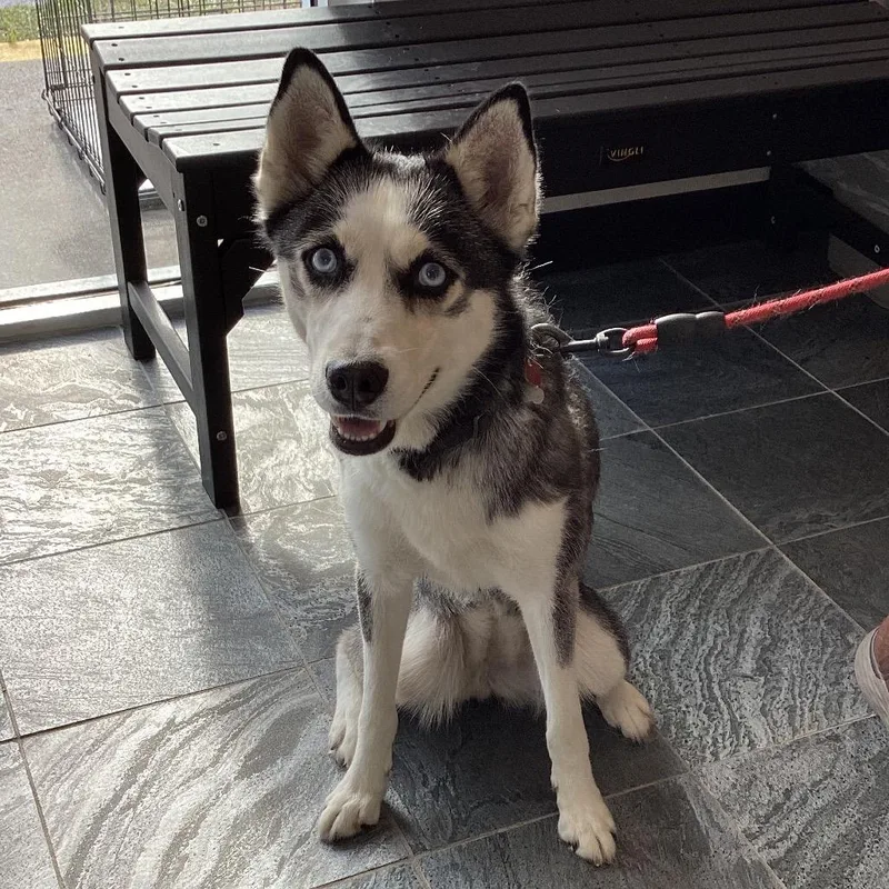 Luna