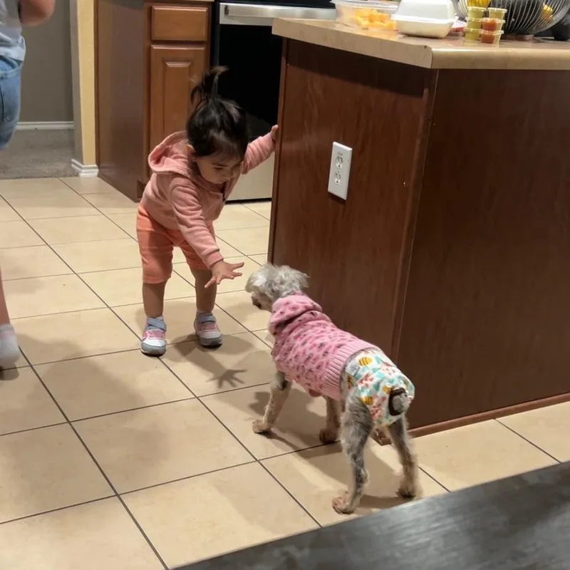 Belly Button thumbnail 2