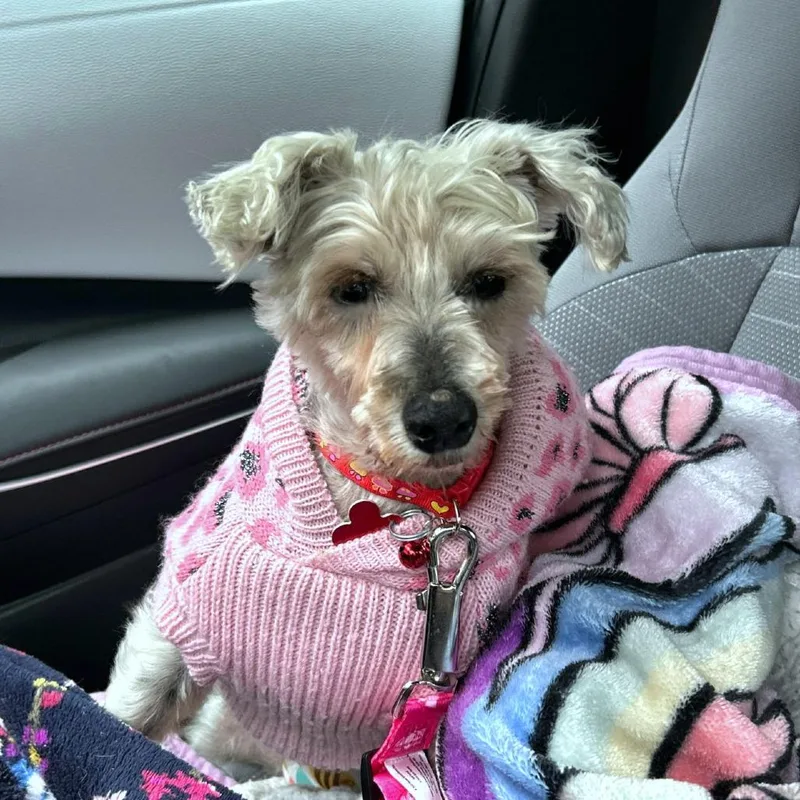 Belly Button thumbnail 5