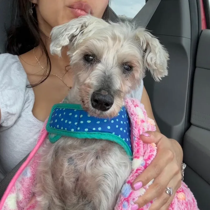 Belly Button thumbnail 6