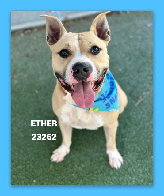 Ether thumbnail 5