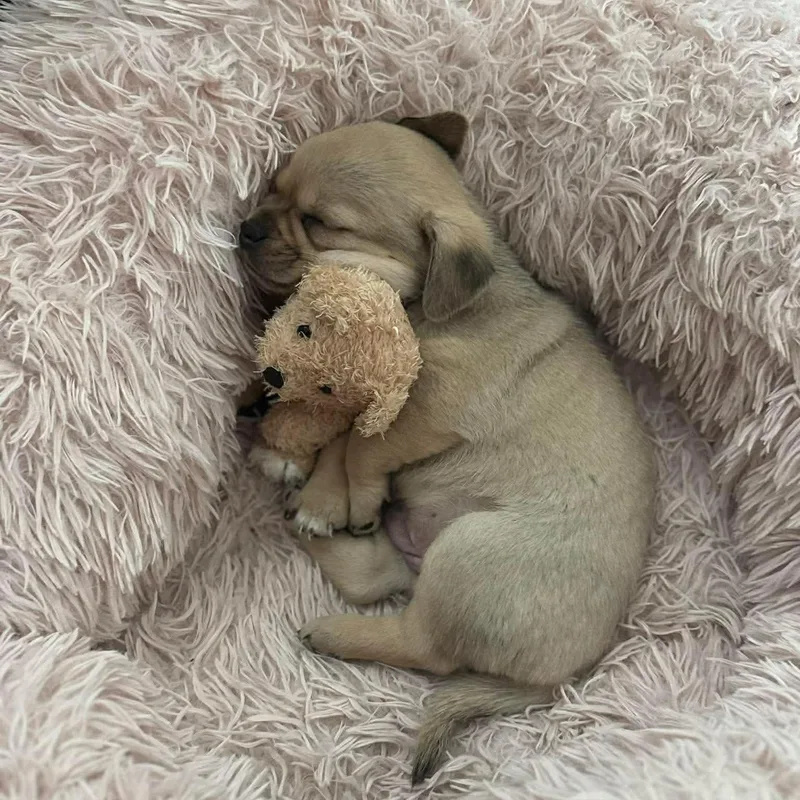 Valentina thumbnail 2