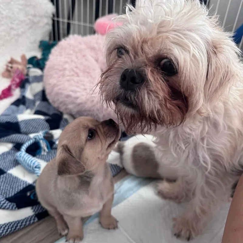 Valentina thumbnail 4