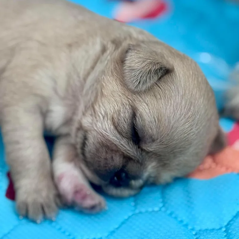 Valentina thumbnail 5