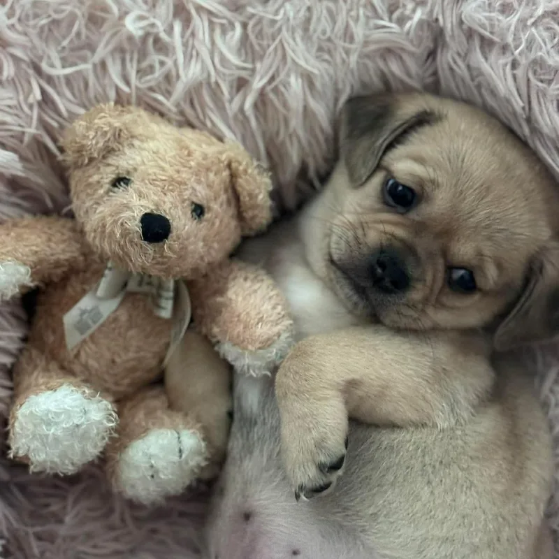 Valentina thumbnail 6