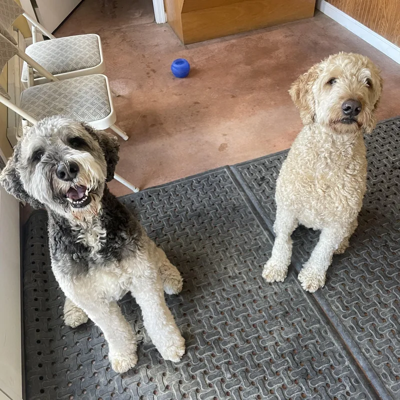 Fitzgerald "fitz" thumbnail 2