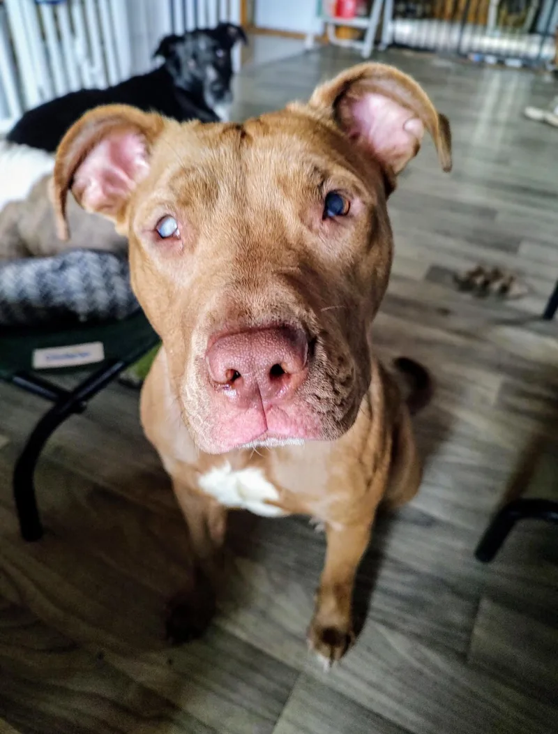 Kassie Girl! Sweetest Angel! thumbnail 3