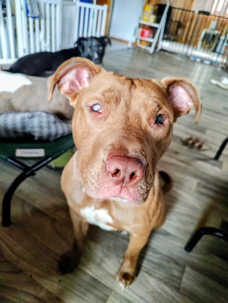 Kassie Girl! Sweetest Angel! thumbnail 4