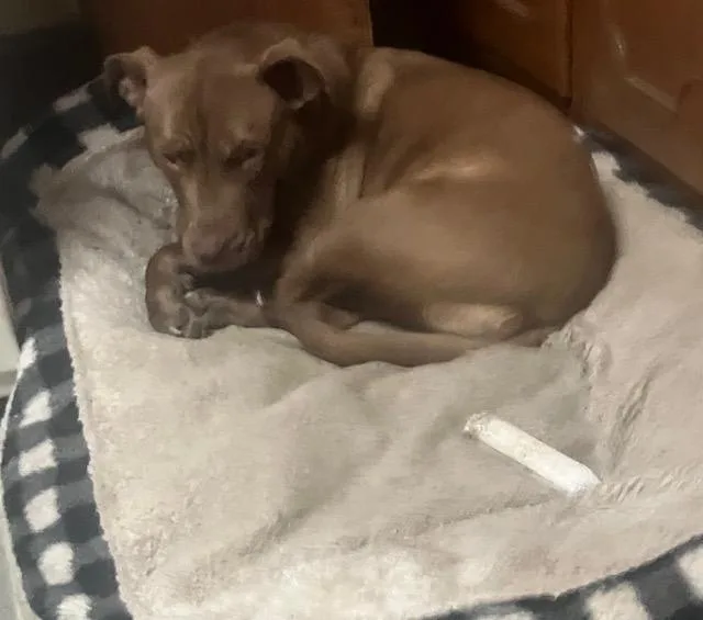 Kassie Girl! Sweetest Angel! thumbnail 5