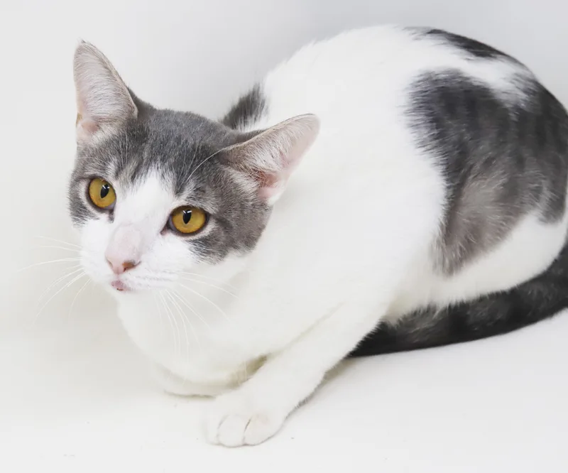 Checkers is the SWEETEST thumbnail 4