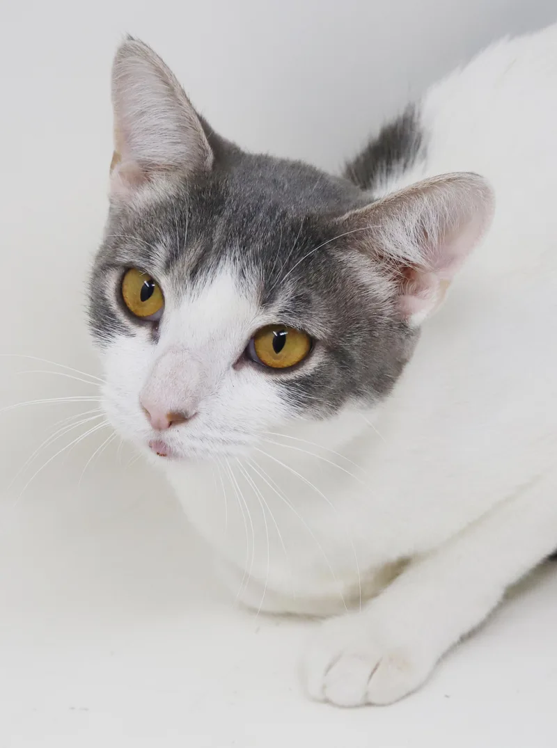 Checkers is the SWEETEST thumbnail 5