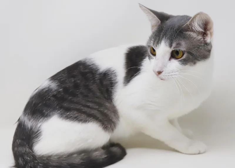 Checkers is the SWEETEST thumbnail 6