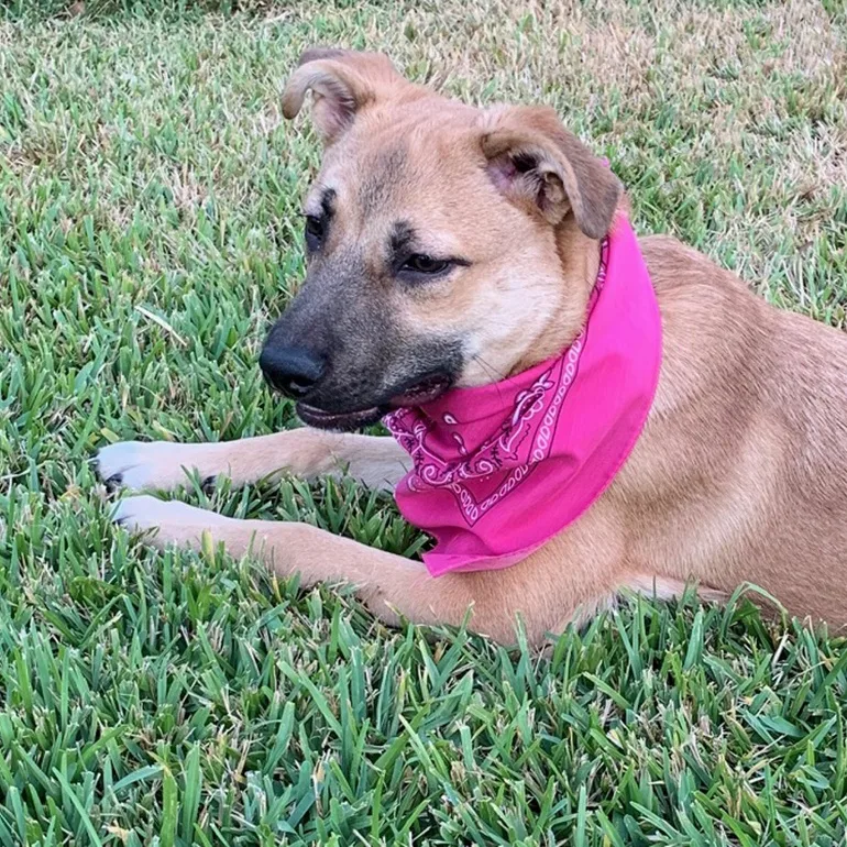 Precious  Gorgeous Girl! thumbnail 5