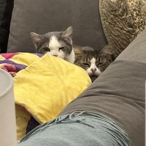 Franklin Parsons And Freddie