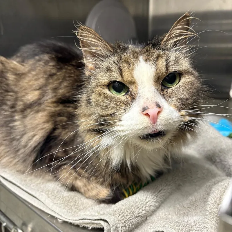 Franklin Parsons And Freddie thumbnail 2