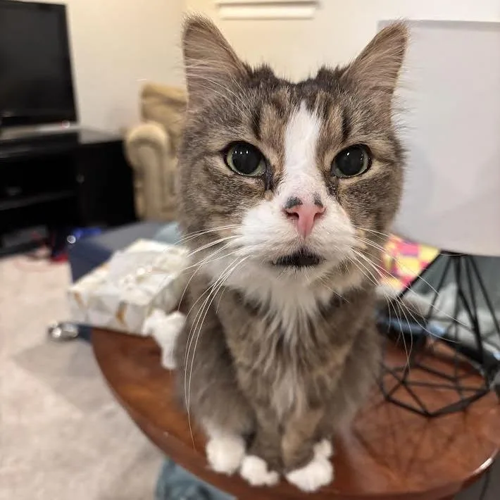 Franklin Parsons And Freddie thumbnail 3