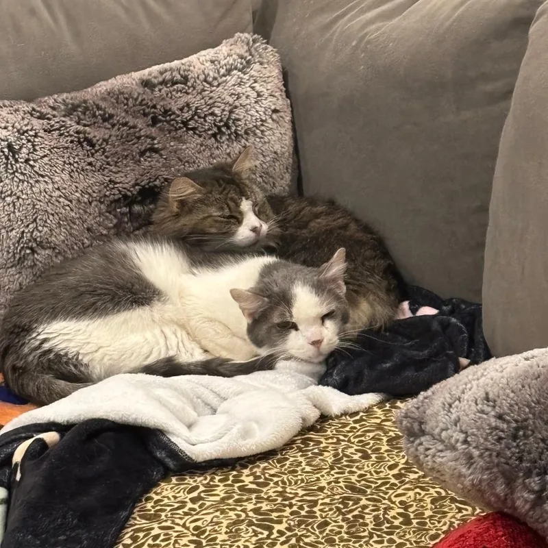 Franklin Parsons And Freddie thumbnail 5