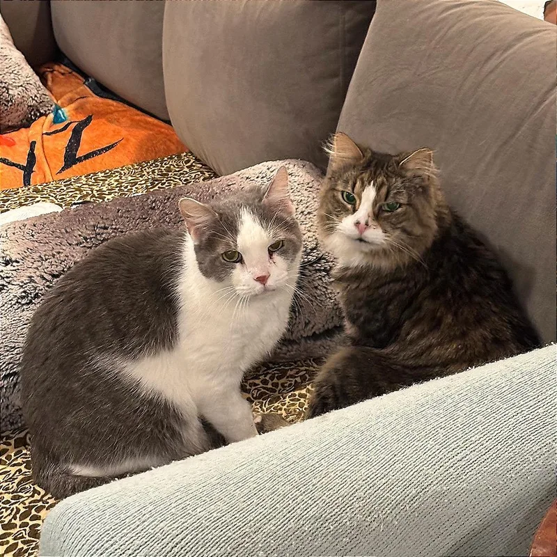 Franklin Parsons And Freddie thumbnail 6