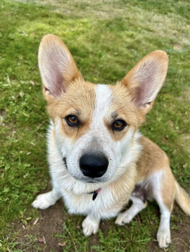 Fiona