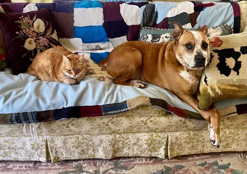 Kara Bear thumbnail 2