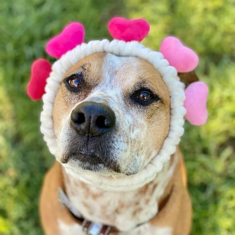 Kara Bear thumbnail 6