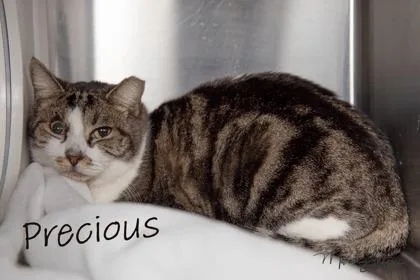 Precious