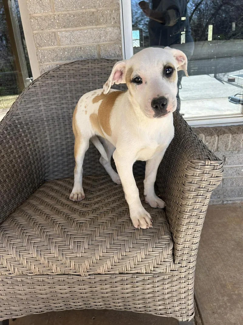 Lou Ann   thumbnail 2