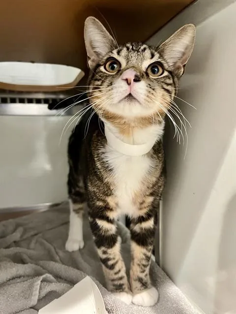 Malcolm