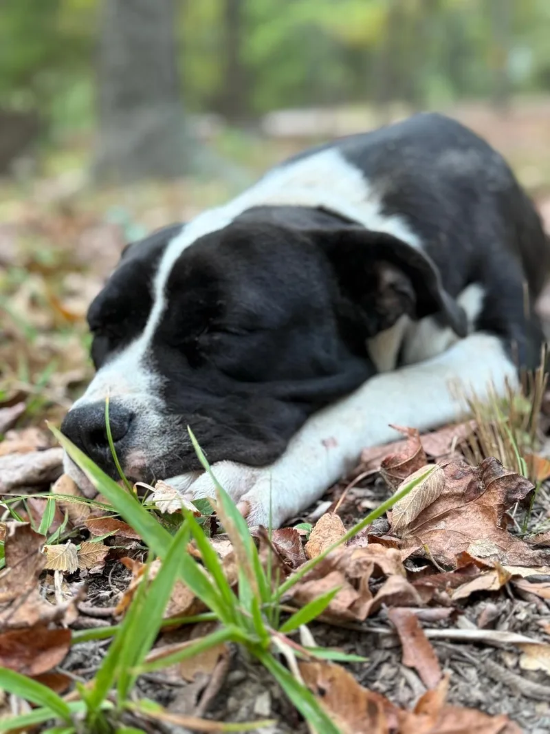 Buddy Ray thumbnail 3