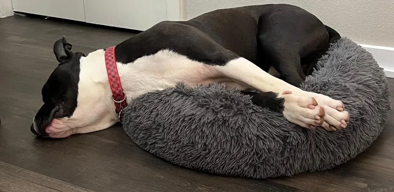 Buddy Ray thumbnail 4