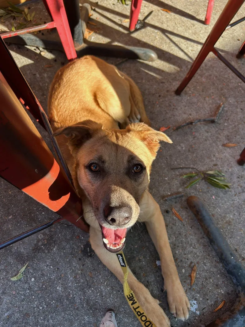 Charlotte thumbnail 2